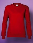 Ladies’ Sweatshirt