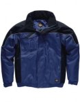 Industry Winterjacket